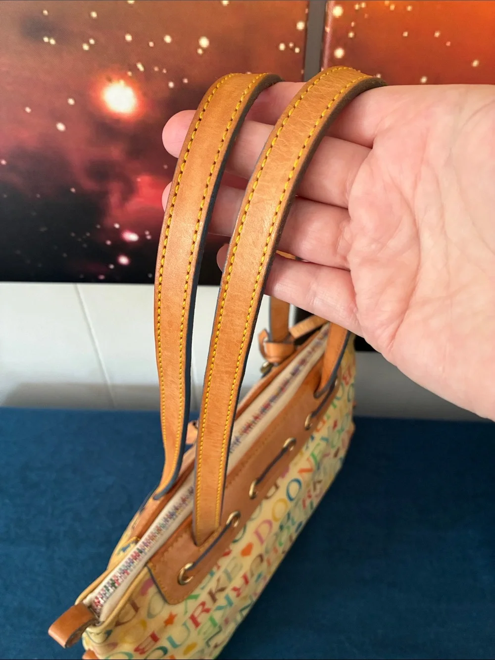 Vintage Dooney & Bourke Rainbow Monogram Satchel